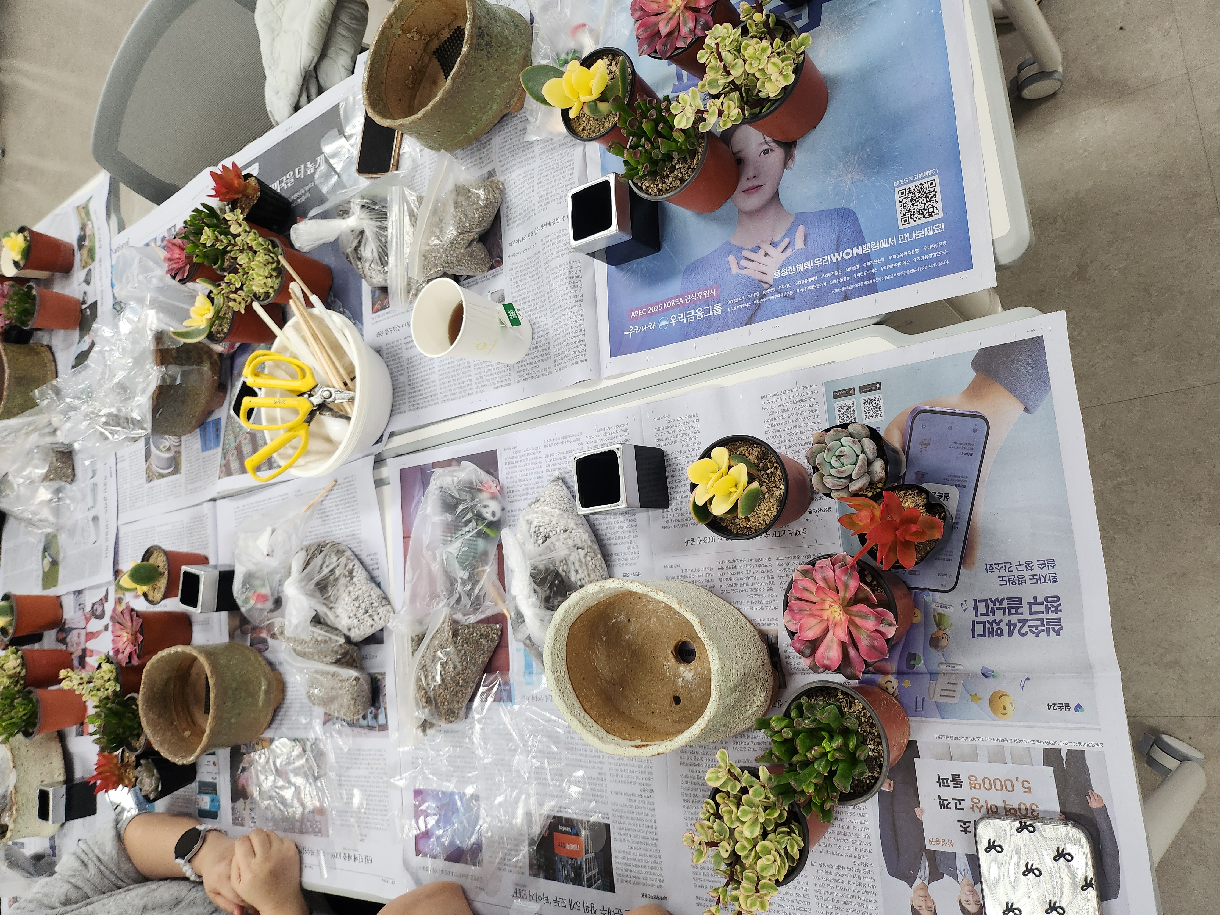 11/19 지역주민과 북한이탈주민이 함께하는 문화 프로그램(2차)-원예 테라피 3회차 사진2