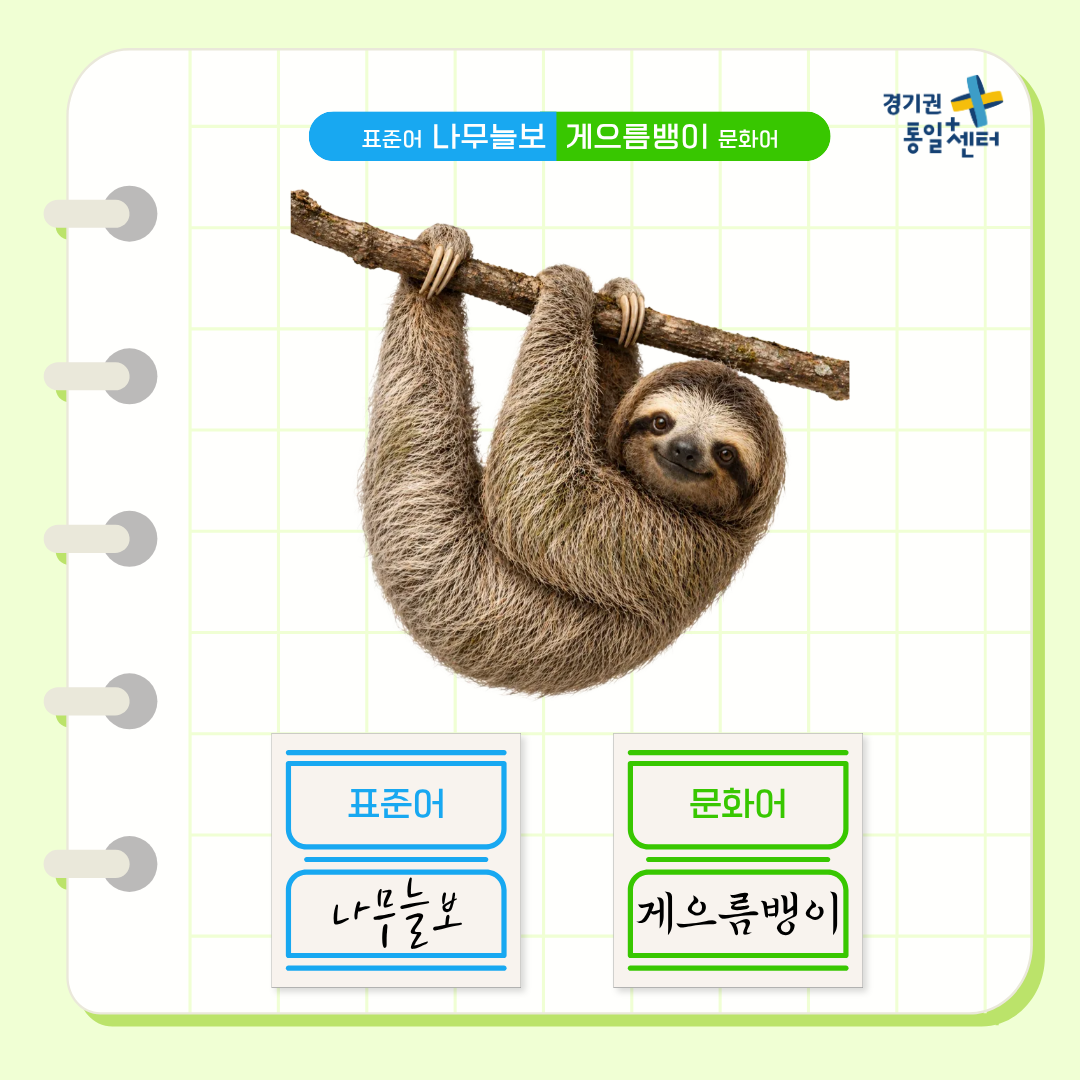 남북한언어비교 8월 동물편5