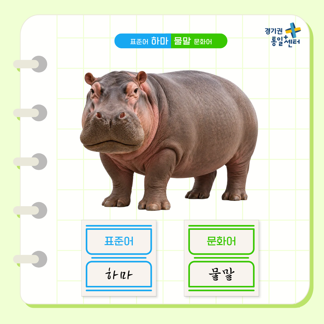 남북한언어비교 8월 동물편6