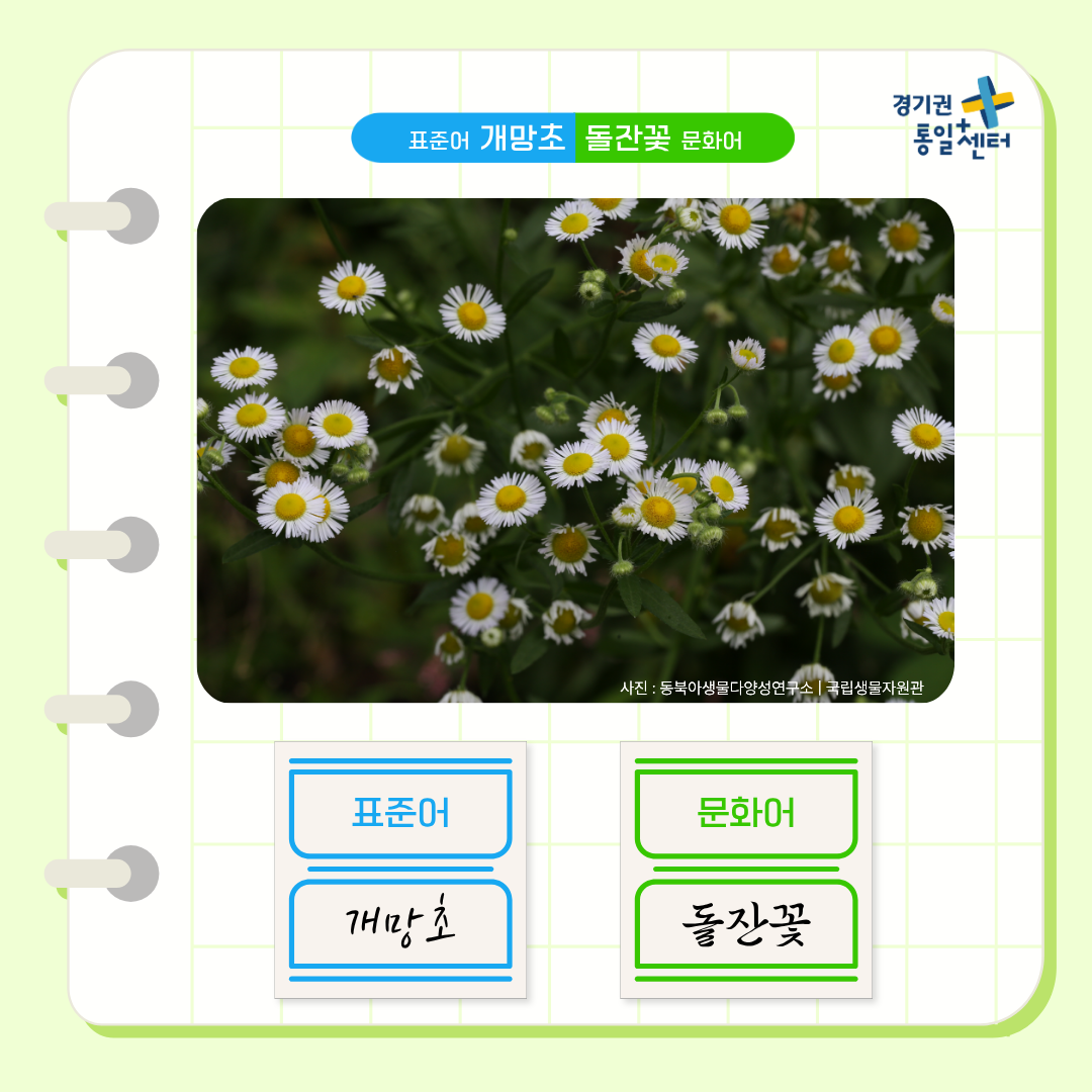 너의이름은4월식물7