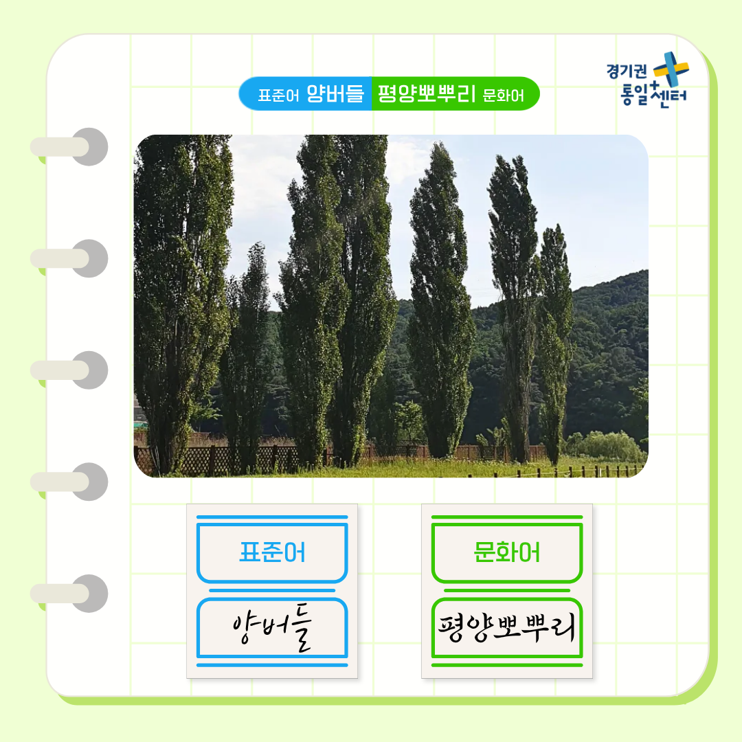 너의이름은4월식물5
